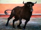 20060313141522-toro.jpg