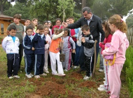 20060502132916-dia-arbol-bollullos.jpg