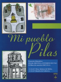 20060704133412-libro-pilas.jpg