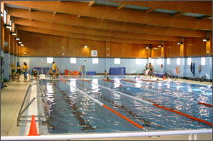 20061004144736-piscina-cubierta-pilas.jpg
