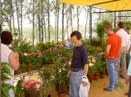 20070410164942-floraurbana2007.jpg
