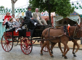 20070509143405-coche-caballos-espartinas.jpg
