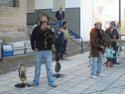 20071204164705-animales-no-juguetes-sanjuan07.jpg