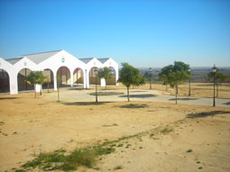 20071212192543-campo-feria-palomares07.jpg
