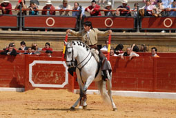20080116205640-diego-ventura08.jpg