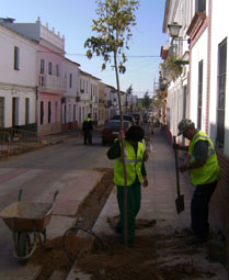 20080213150647-plantacion-arboles-pilas08-2.jpg