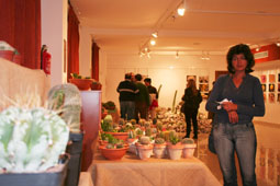 20080310210729-expo-plantas-suculentas-bormujos08.jpg