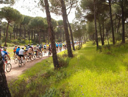 20080318143410-marcha-cicloturista-almensilla.jpg