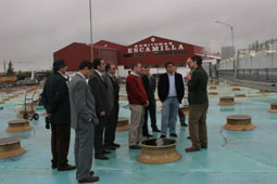 20080410180913-visita-aceitunas-escamilla-umbrete08.jpg