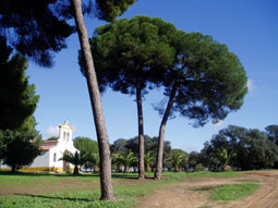 20080421190532-ermita-sandiego-almensilla.jpg