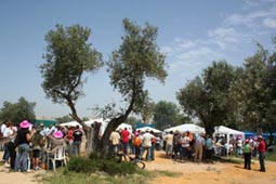 20080430163908-romeria-sansebastian-tomares08.jpg
