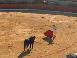 20080503144800-alternativa-agustin-espartinas08.jpg