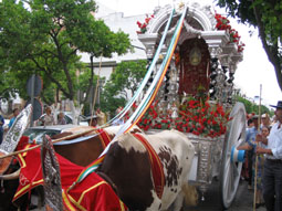 20080507173628-salida-hdad-rocio-gelves08.jpg