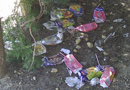 20080607183037-basura-colegio-huevar08.jpg