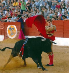 20080722211536-javier-jimenez-torero.jpg
