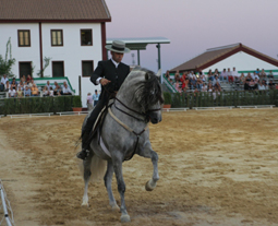 20080729180544-cpto-doma-umbrete08.jpg