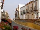 espartinas-flores.jpg