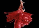 flamenco.jpg